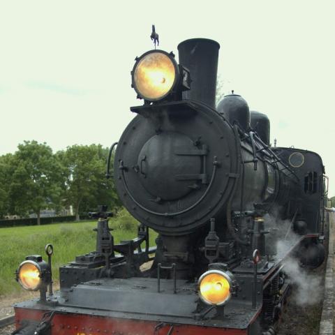 IMG 8954